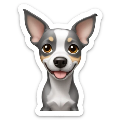 dog grey Chihuahua jack russell sticker