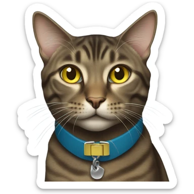 Dark brown tabby cat blue collar yellow green eyes sticker