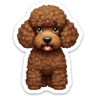 Poodle with brown fur and a bit thick  sticker
