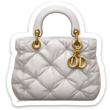 Dior bag sticker