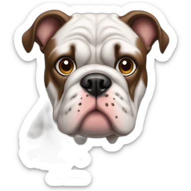 Perro bulldog grandes negro con un ojo celeste y el otro ojo marrón con mancha blanca arriba de la nariz  sticker