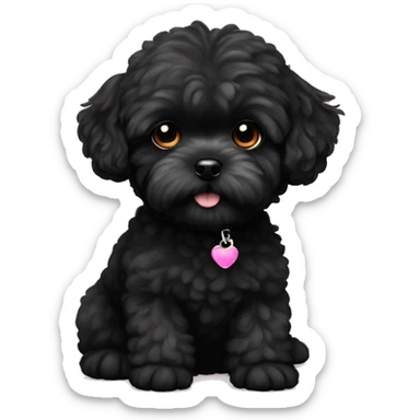 tiny black maltipoo sticker