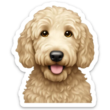 Cream goldendoodle sticker