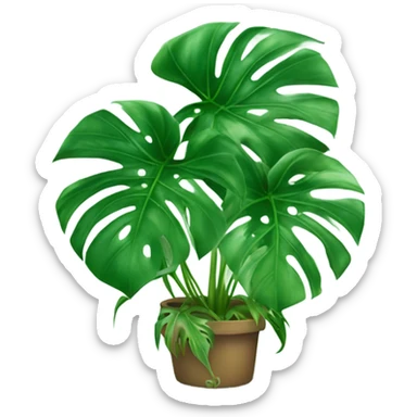 monstera plant sticker