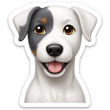 white dog with dark gray ears, mixed breed Jack Russel and bichon frize sticker