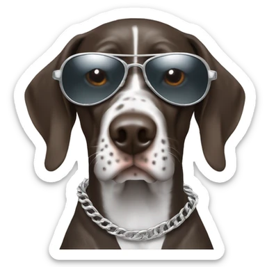 German shorthair pointer wearing aviator sunglasses and silver chain  sticker