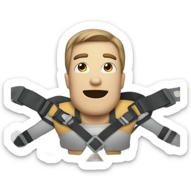 fasten your seatbelt sticker