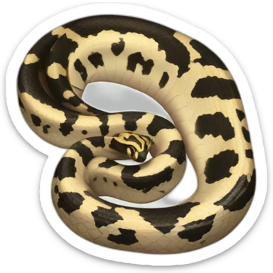 Ball python sticker