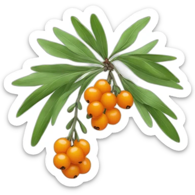 a sprig of sea buckthorn sticker