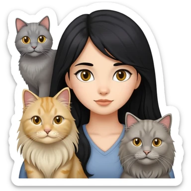black hair girl with a grey longhair cat and four british longhair golden sticker