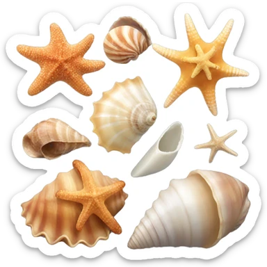 sea shells  sticker