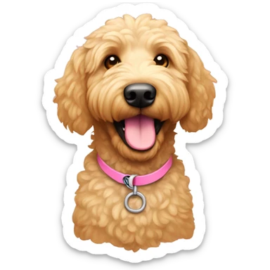 a light colored golden doodle with a pink coller sticker