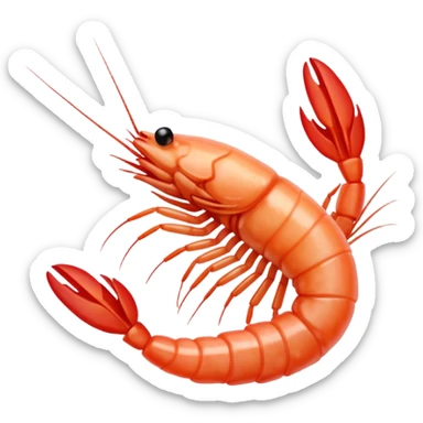 White shrimp  sticker