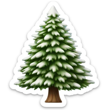 actual white fir christmas tree isolated.  sticker