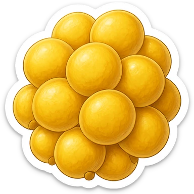 CELLULA DI GRASSO (ADIPOCITA) GIALLA A GRAPPOLO sticker
