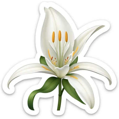 Lily flower sticker