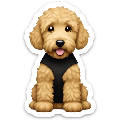 golden doodle with black tee shirt sticker
