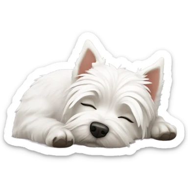 Westie sleeping  sticker