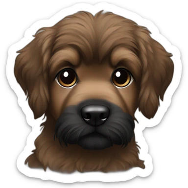 bouvier fawn brown and black puppy face very long hair sticker