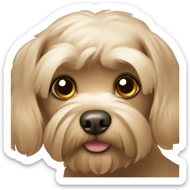 Brown maltese dog sticker