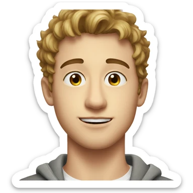 jeremy allen white from the bear sticker
