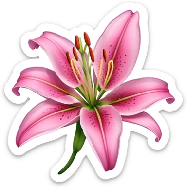 Pink lily flower sticker