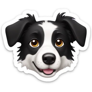 A cute Border Collie with black ears, only has black and white hair sticker