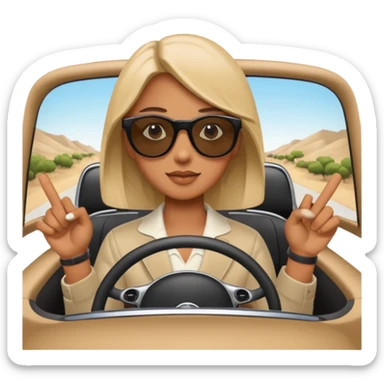 follow me car sticker