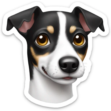 black and white old rat terrier sticker