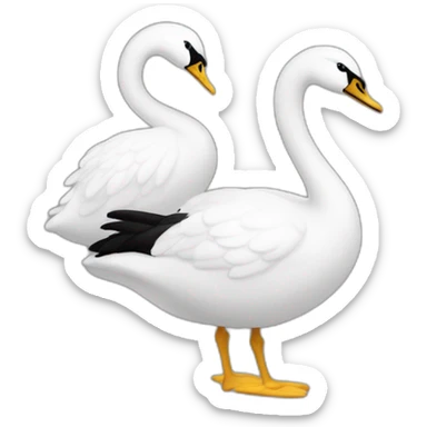 Dos cisnes uno blanco y otro negro sticker