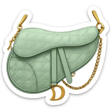 light green dior saddle bag sticker