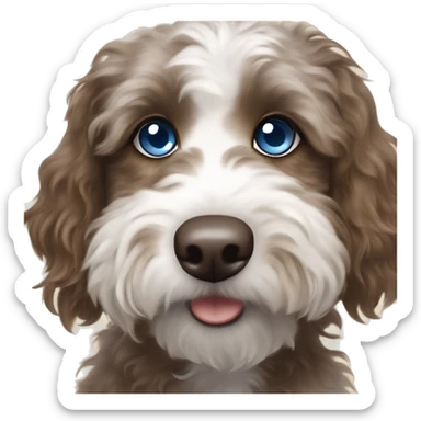 Mini Aussiedoodle with a blue and brown eye  sticker