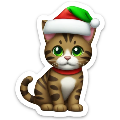 Dark brown tabby cat with green eyes wearing Christmas hat sticker