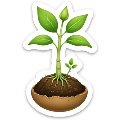 A seed germinating with a sprout sticking out of it  sticker