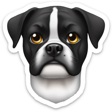 Black and white boxer dog with an eye patch  sticker