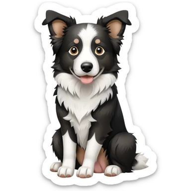 Merle Border Collie Sitting sticker