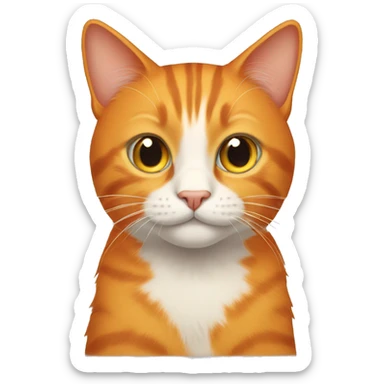 orange cat  sticker