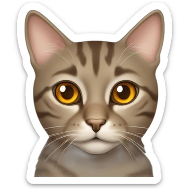 Tabby brownish gray cat with beige mouth and dark nose and orange golden eyes sticker