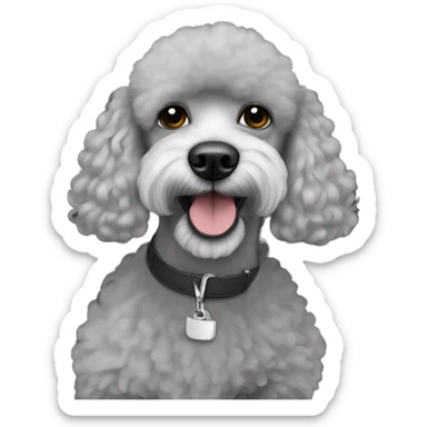 french poodle shaved facial hair in an hyundai accent gray  sticker