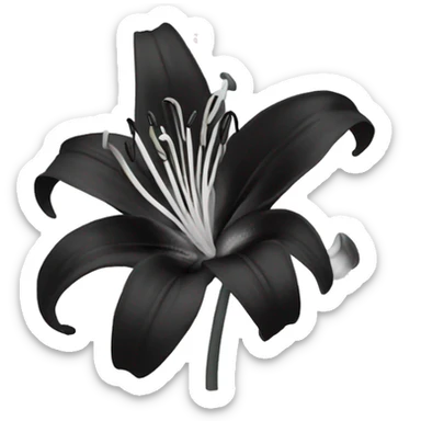 black and white lily sticker