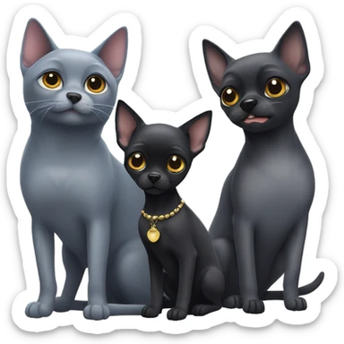 a big russian blue cat and two small black chihuahuas sticker