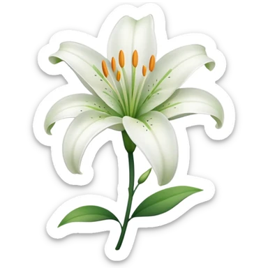 Lily flower sticker