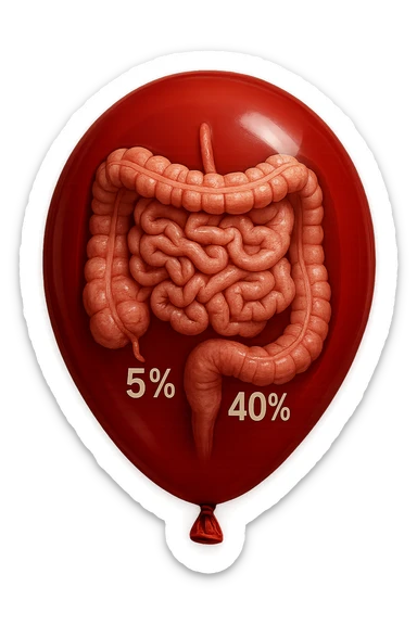 intestino umano anatomico chiuso in un palloncino rosso con la scritta 5% e 40% dentro insieme all'intestino, iperrealistico 4k sticker