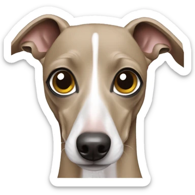 Italian greyhound  sticker