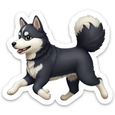a black and white husky dog running towards the left sticker