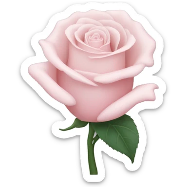 white hand holding a single pale pink rose sticker