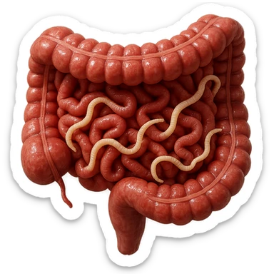 realistic 3D cross-section of human intestine with tapeworm parasites visible among folds, hyperrealistic details, glossy texture, 4K, isolated on white background sticker