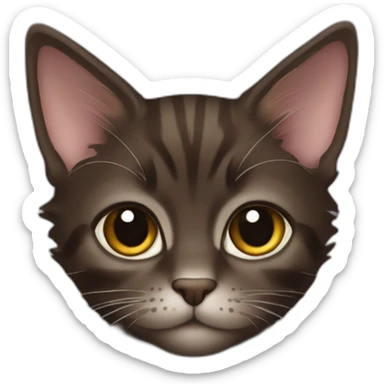 Tiny dark brown maincoon cat sticker