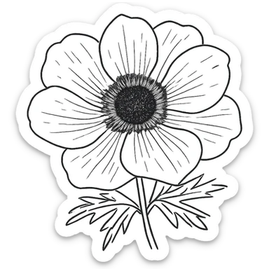 hand drawn anemone flower doodle sticker