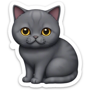 black British shorthair cat sticker